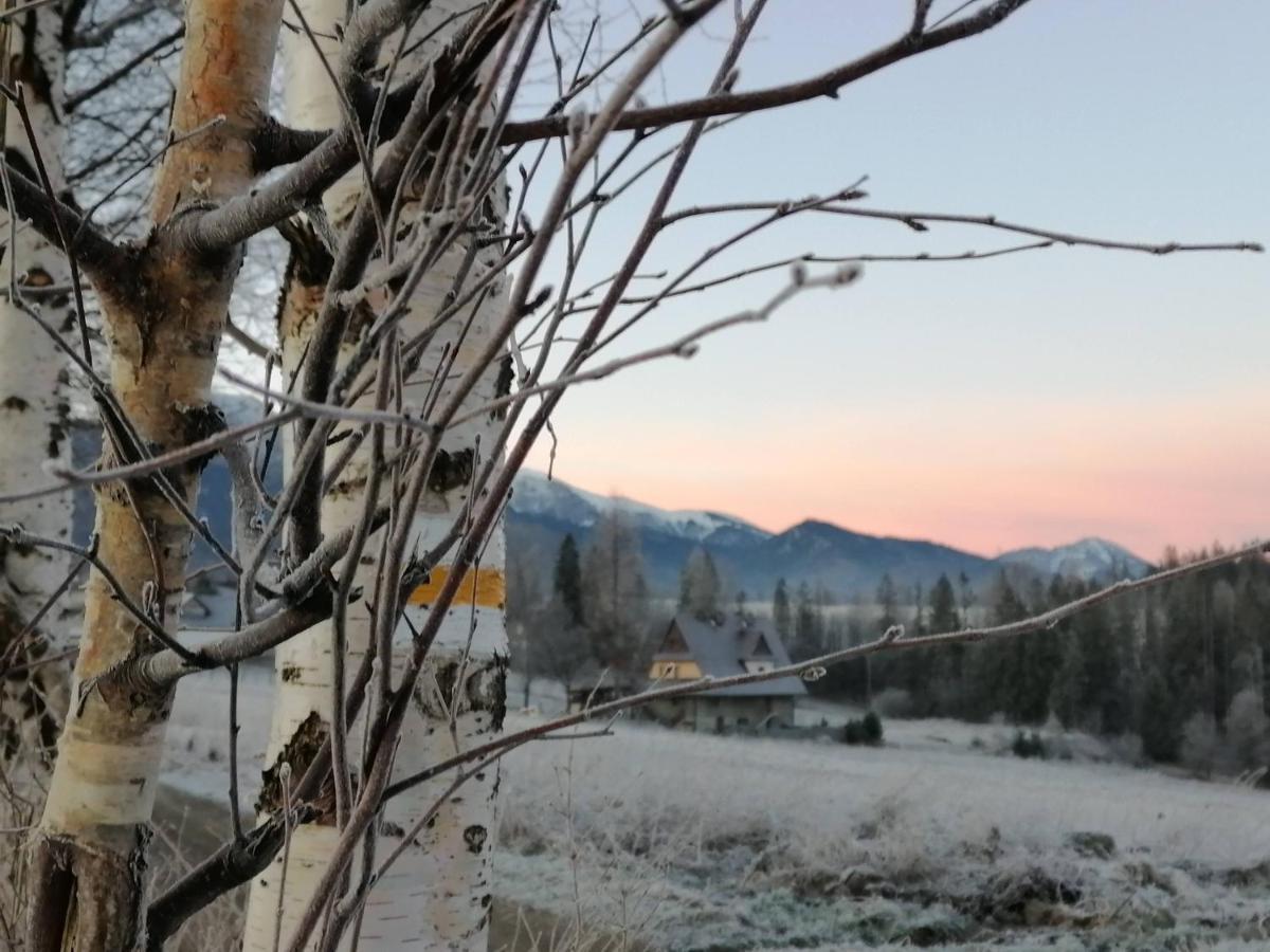 Willa U Kosle 2 Apartman Zakopane Kültér fotó