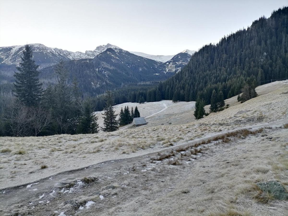 Willa U Kosle 2 Apartman Zakopane Kültér fotó